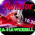 antigua hawksbill Plus Edition v1.2.0