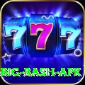 bbl big bash apk Master Pro v4.4.4