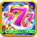 bbl cricket Live Casino Prime