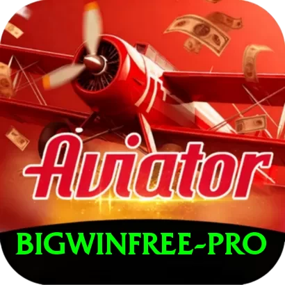 BigWinFree Pro Edition v2.2.1 - 2