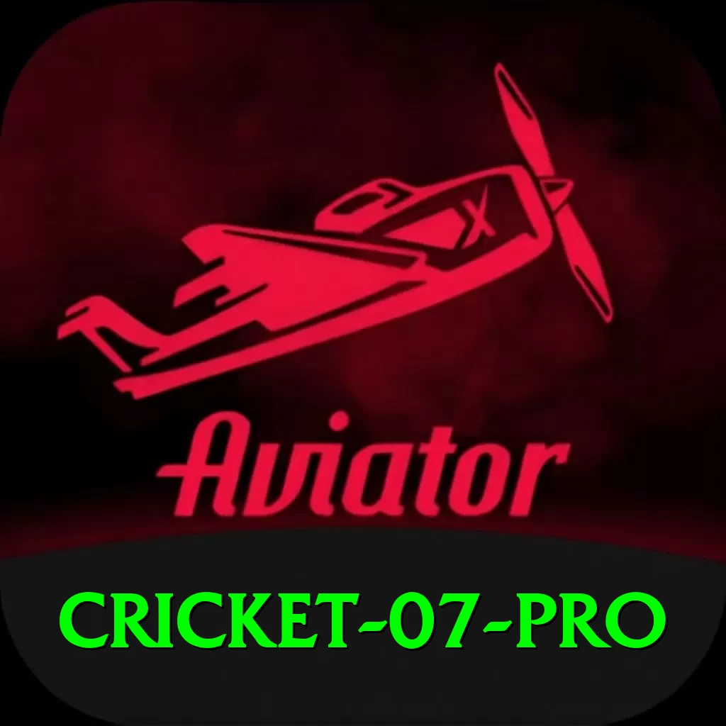 cricket 07 Gaming Deluxe v2.4.5 - 2