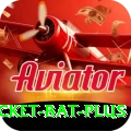 cricket bat APK VIP v5.7.0