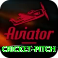 cricket pitch Gold Edition v4.5.9