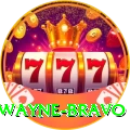 dwayne bravo Plus v4.0.3