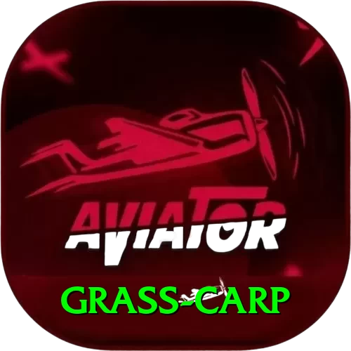 grass carp Premium Edition v3.4.6 - 2