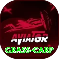 grass carp Premium Edition v3.4.6