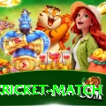 india cricket match Pro Edition v3.2.9