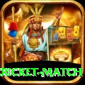 india pakistan cricket match Ultimate v2.6.9