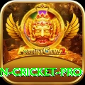 india pakistan cricket Bonus Gold v3.9.0