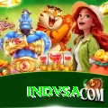 indvsa Pro Max v4.3.7
