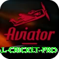 international cricket Max Casino App