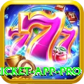 live cricket app Casino Champion v1.7.8