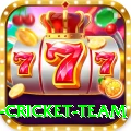 new zealand cricket team Pro Edition v4.8.8