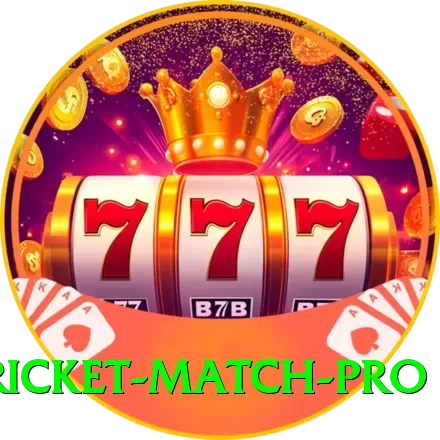 next cricket match King PK v1.5.0 - 2