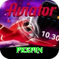 pkspin Master v2.7.1