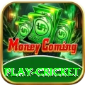 play cricket Apps (Tools & Injectors) Turbo v5.9.9