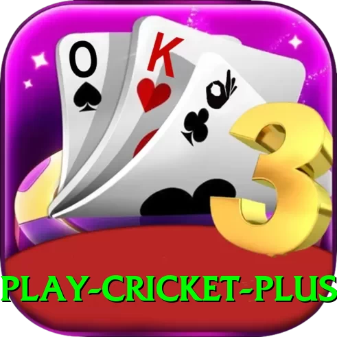 play cricket Premium Pakistan - 2