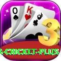 r cricket Super PK v5.3.3