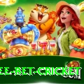 risk free bet cricket Games (Casino & Earning) Master v1.7.3