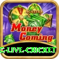 smartcric live cricket Games (Casino & Earning) Max v3.0.8
