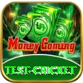 test cricket Apps (Tools & Injectors) VIP v2.0.4