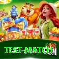 test match Pro1 v3.0.7