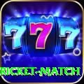 to day cricket match VIP Edition v1.8.5