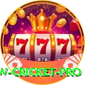 willow cricket Slot Machine Elite